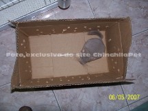 Comprar chinchila